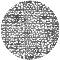 cross-section