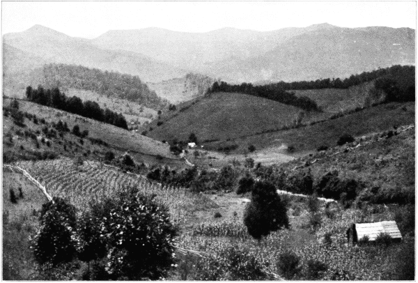 Forest Giving Place to Farm Land. North Carolina.