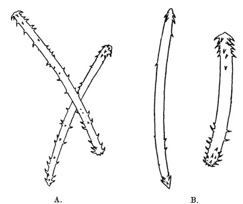 Illustration: Fig. 8