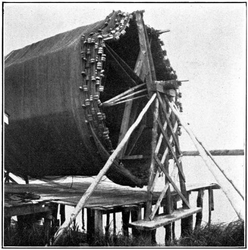 Menhaden Net Drying in Sun