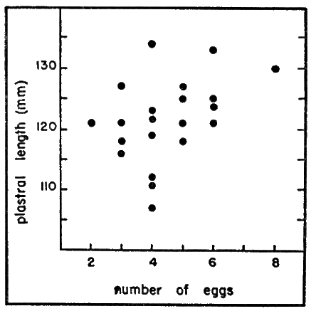 Fig. 6. The relation of plastral length
to number of eggs laid