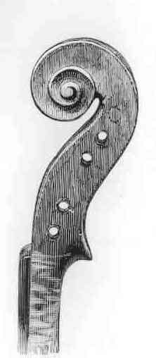 GUARNERI scroll