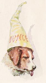 Dunce.