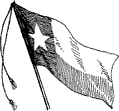 Texas flag