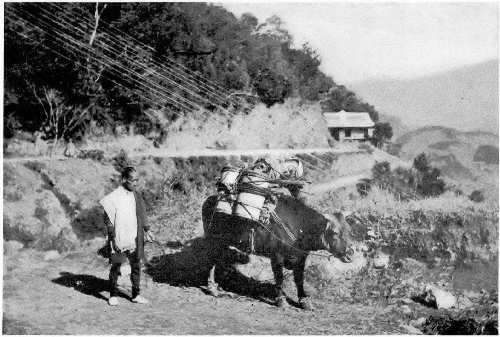 Mogi Road at Nagasaki