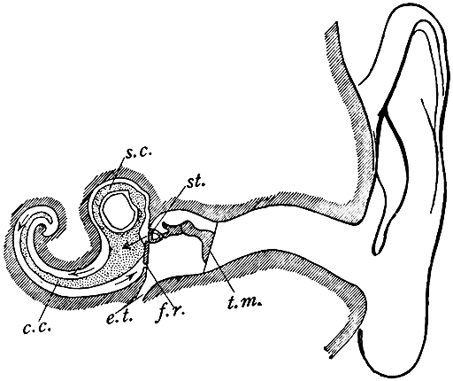 Fig. 27